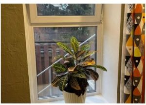 цены на металлические подоконники 